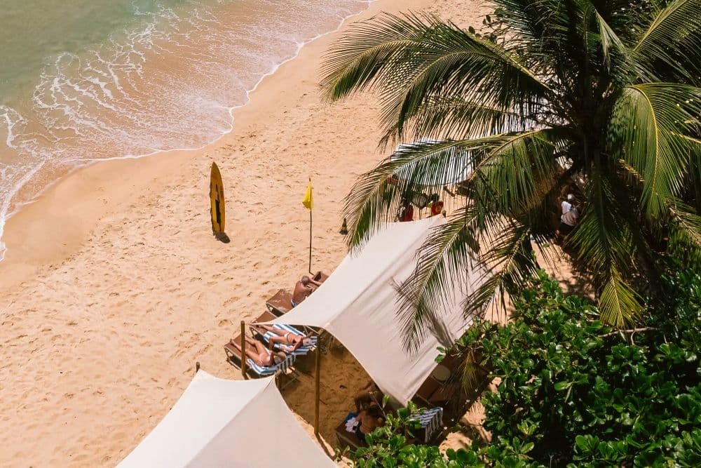 Imagem do artigo: Por que os beach clubs fazem tanto sucesso no Brasil e no mundo?