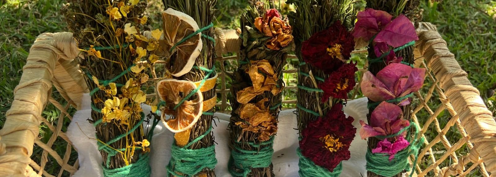 Imagem do artigo: Slow Emotion Therapy