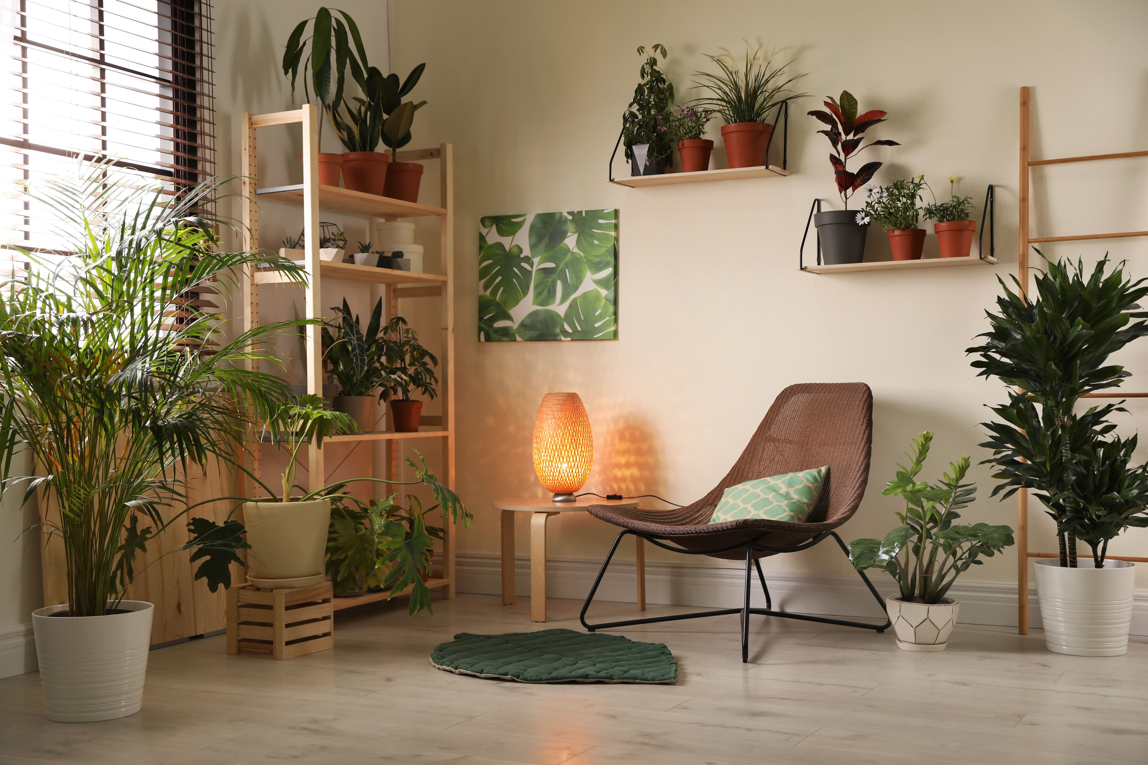 Imagem do artigo: Natureza para dentro de casa: saiba o que é design biofílico