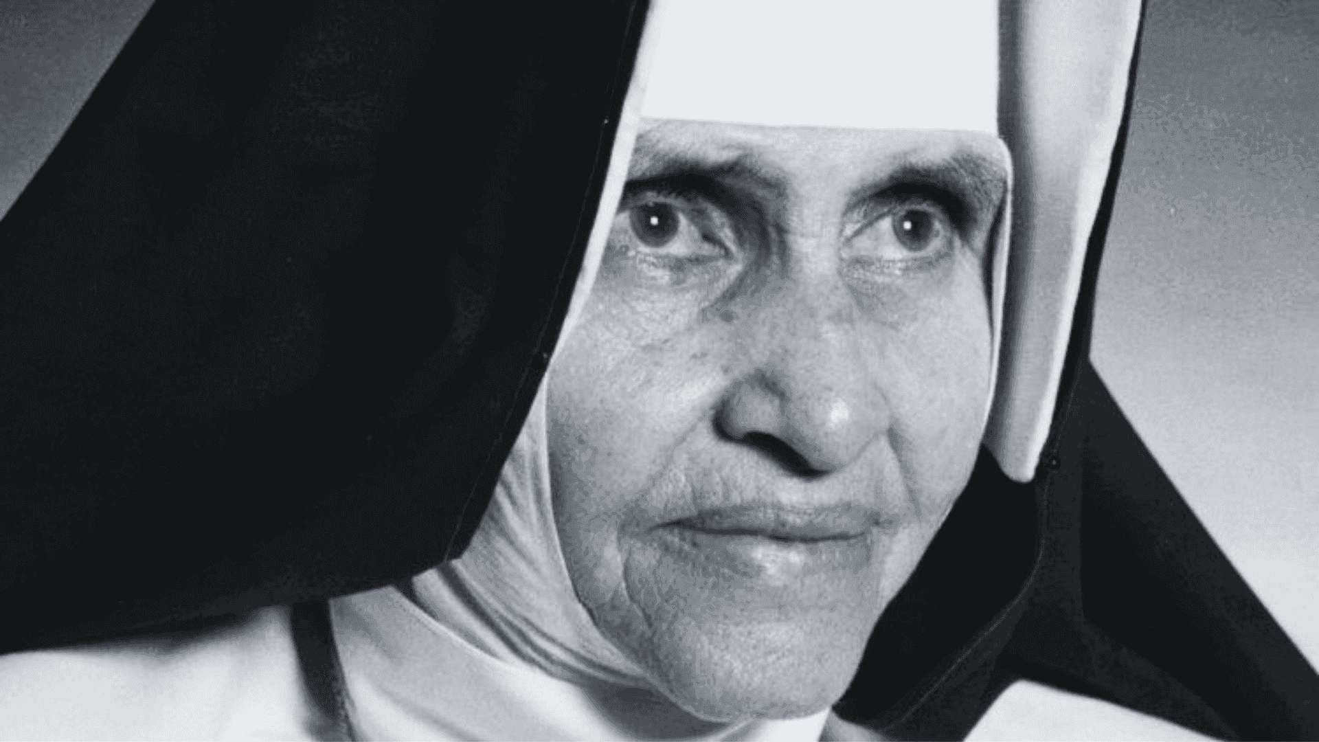 Imagem do artigo: A santa que conheci de perto